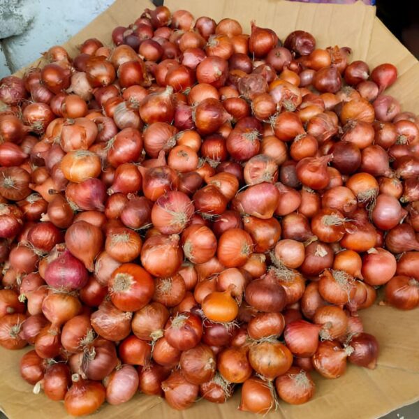 Onions Double Patti