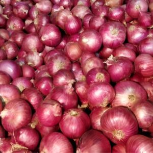 Onion Single Patti