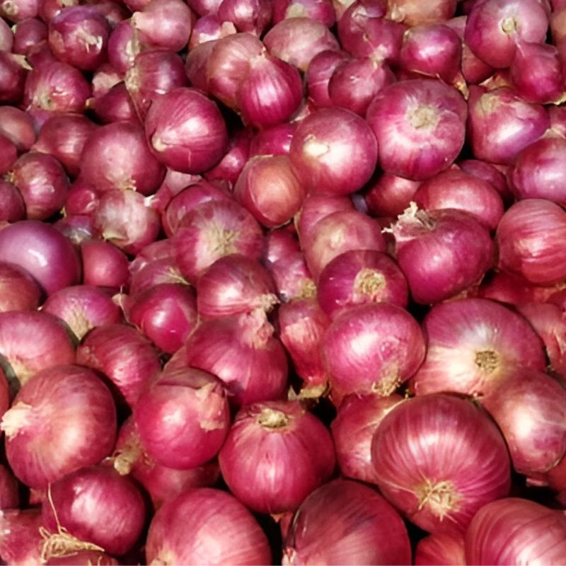Onion Single Patti