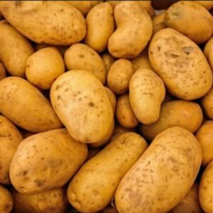 Indore Potato