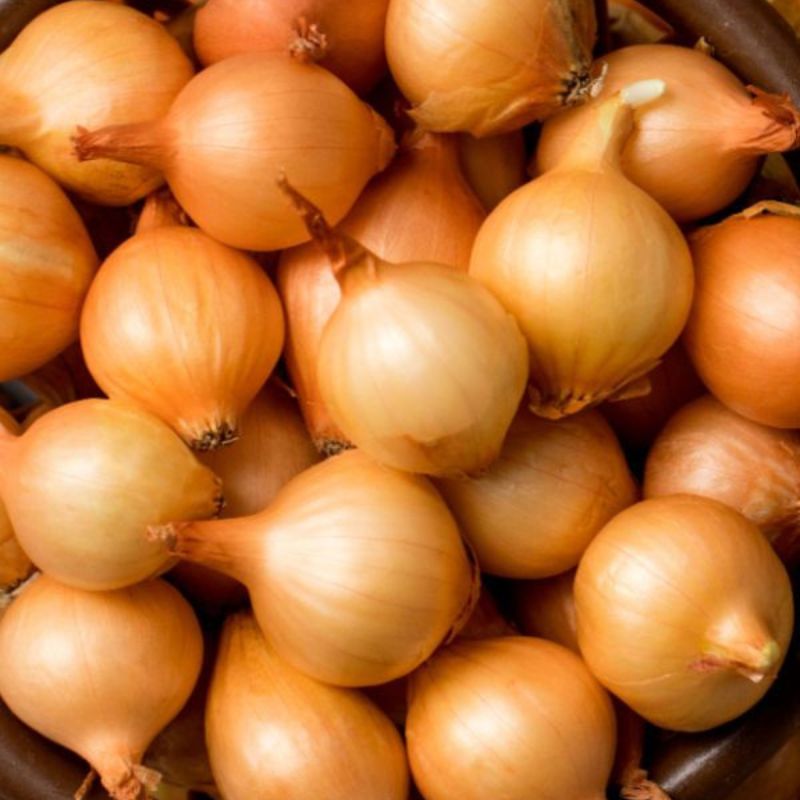 Onion Gola