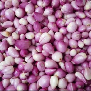 Vinegar Onion