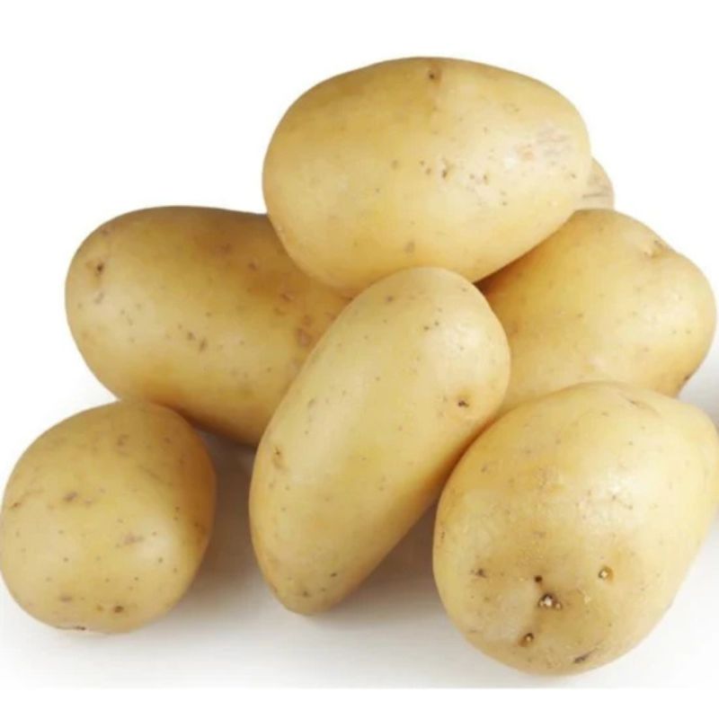 White Cutting Potato